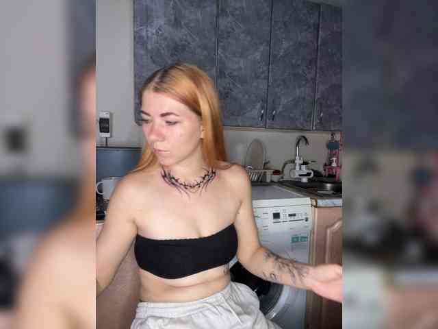 Chanterelle-Fox webcam