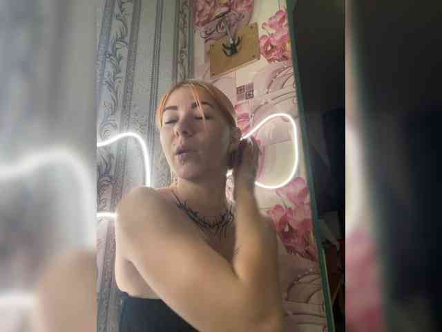 Chanterelle-Fox webcam