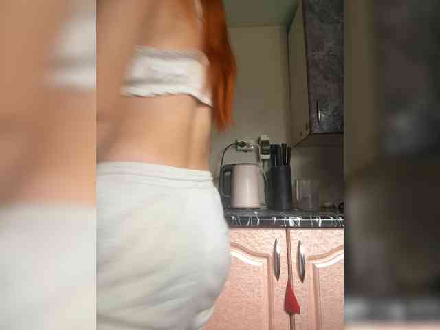 Chanterelle-Fox webcam