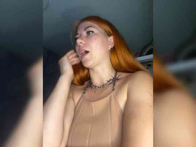 Chanterelle-Fox webcam