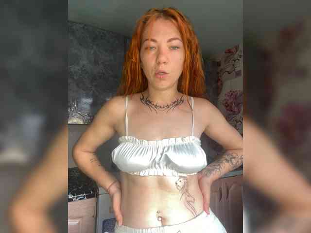 Chanterelle-Fox webcam