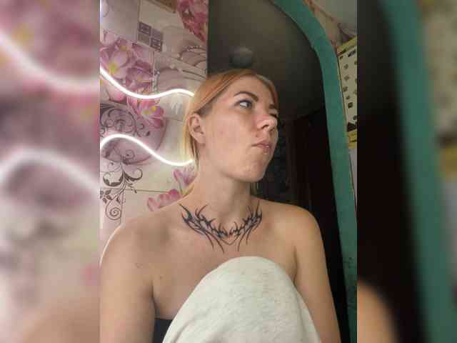 Chanterelle-Fox webcam