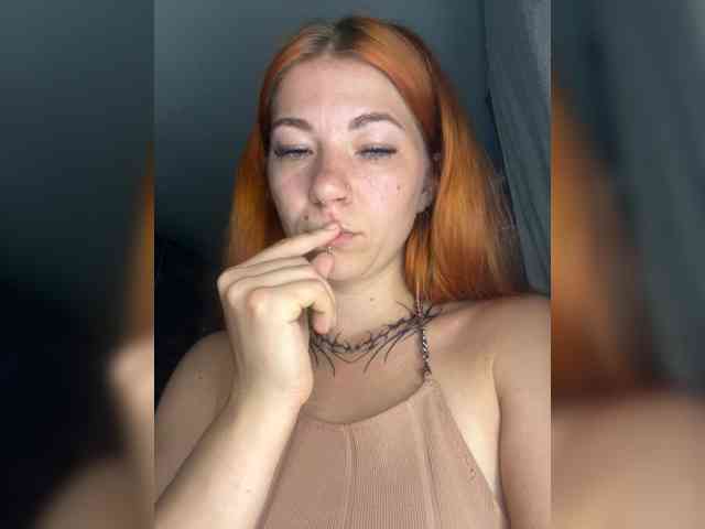 Chanterelle-Fox webcam