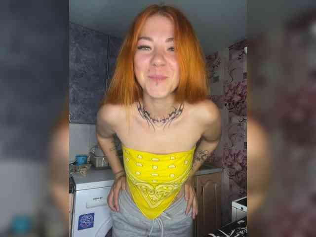 Chanterelle-Fox webcam