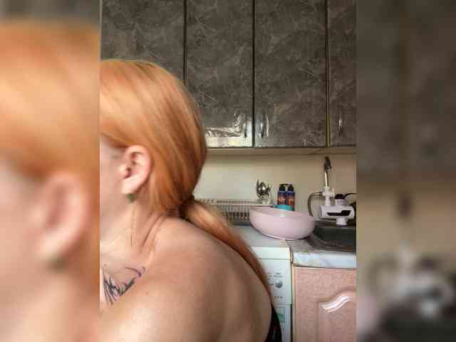 Chanterelle-Fox webcam