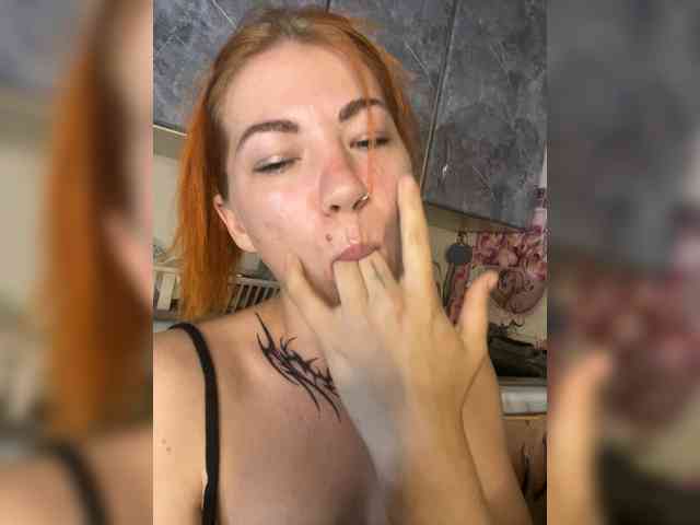 Chanterelle-Fox webcam