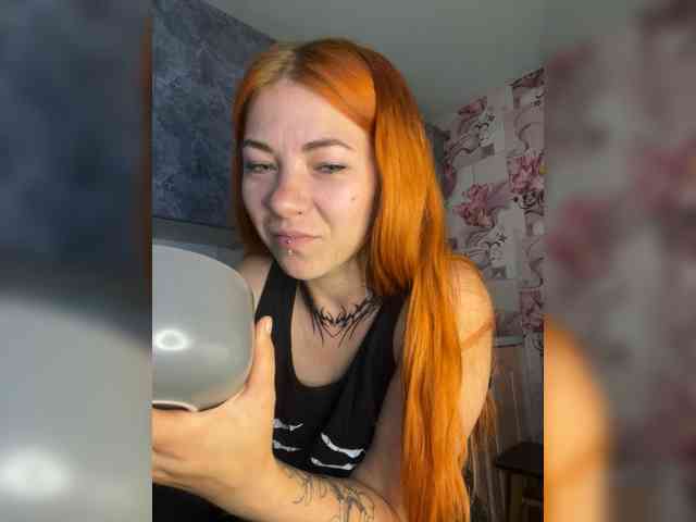 Chanterelle-Fox webcam