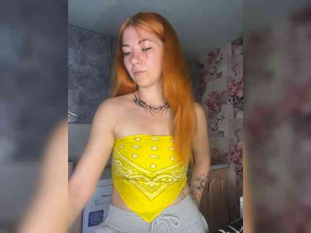 Chanterelle-Fox webcam