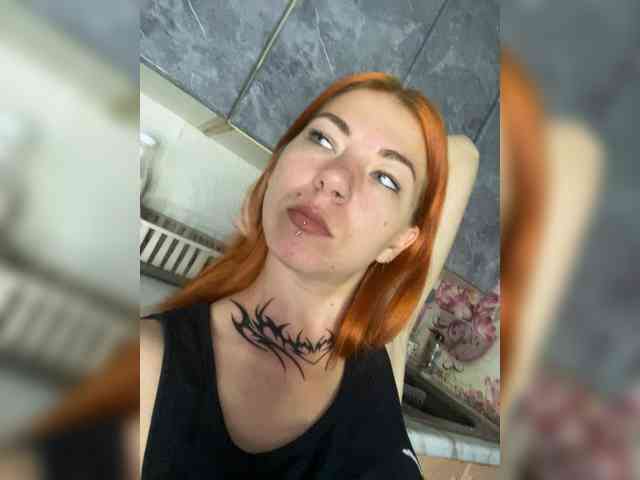 Chanterelle-Fox webcam