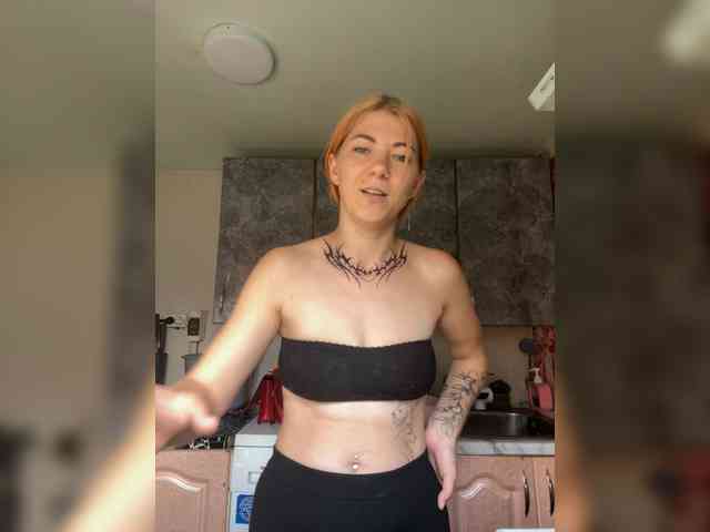 Chanterelle-Fox webcam