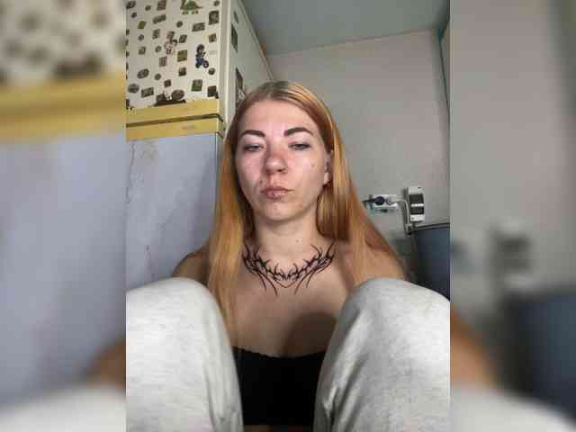 Chanterelle-Fox webcam