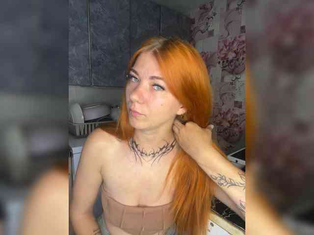 Chanterelle-Fox webcam