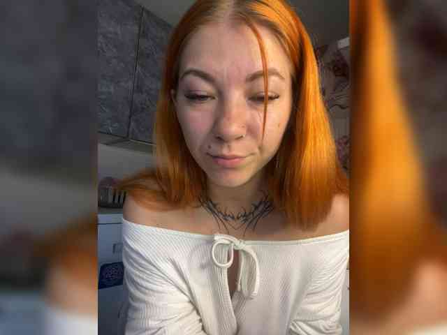 Chanterelle-Fox webcam