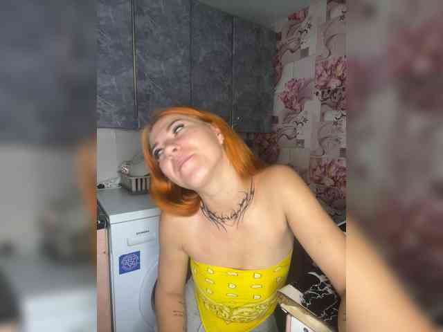 Chanterelle-Fox webcam