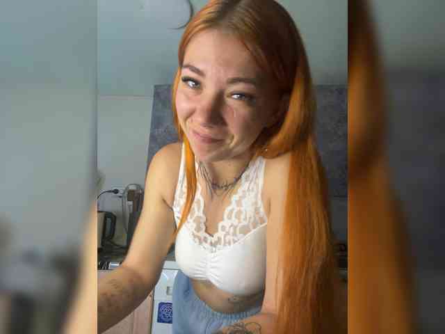 Chanterelle-Fox webcam