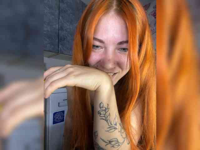 Chanterelle-Fox webcam