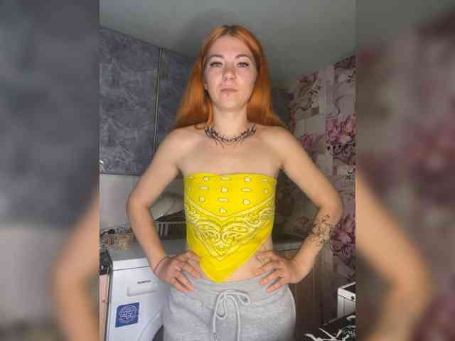 Chanterelle-Fox webcam