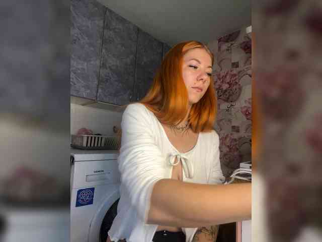 Chanterelle-Fox webcam