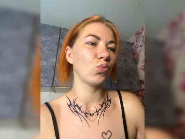 Chanterelle-Fox webcam