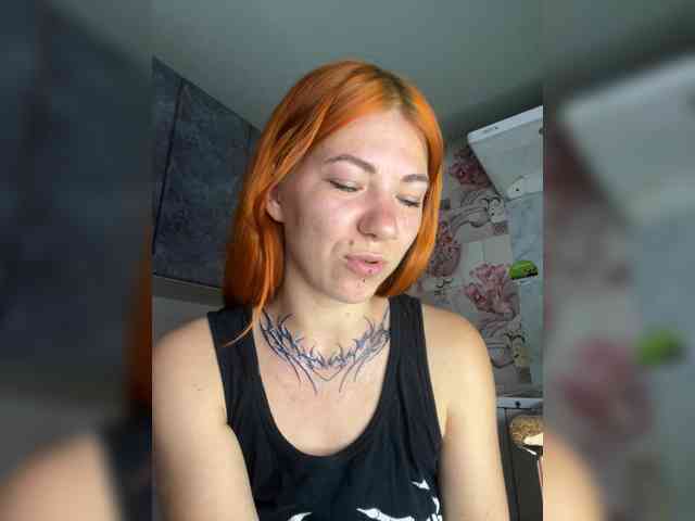 Chanterelle-Fox webcam