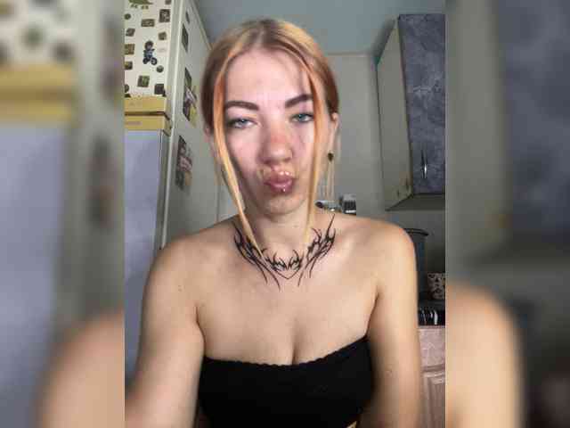 Chanterelle-Fox webcam