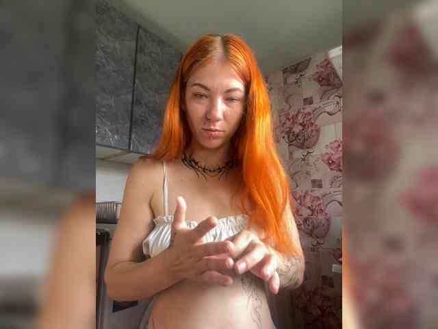 Chanterelle-Fox webcam