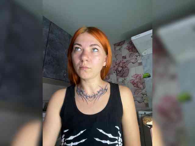 Chanterelle-Fox webcam