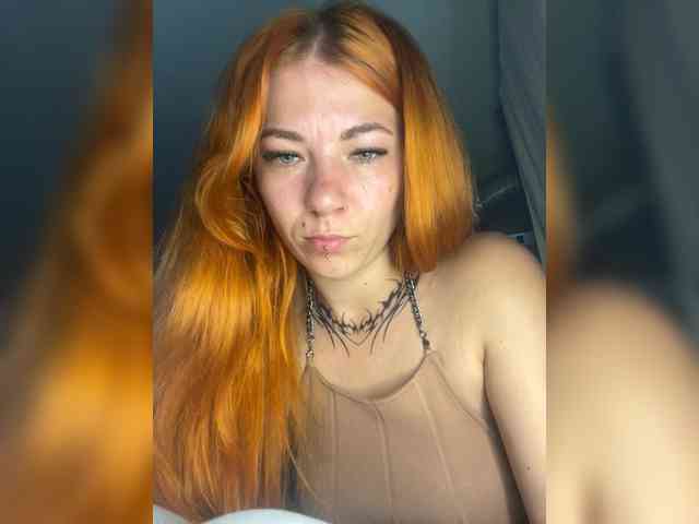 Chanterelle-Fox webcam