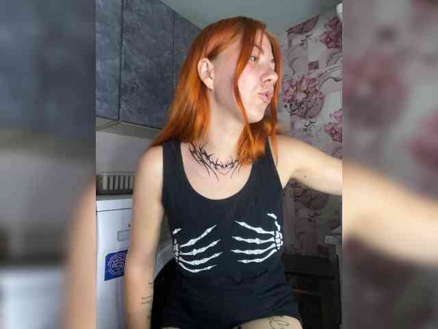 Chanterelle-Fox webcam