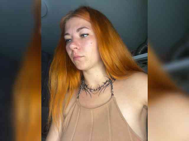 Chanterelle-Fox webcam