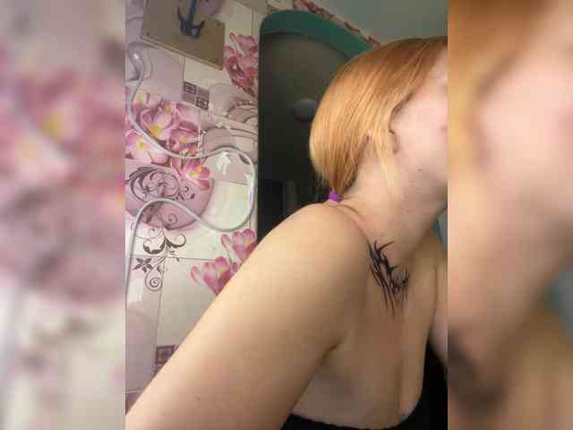 Chanterelle-Fox webcam