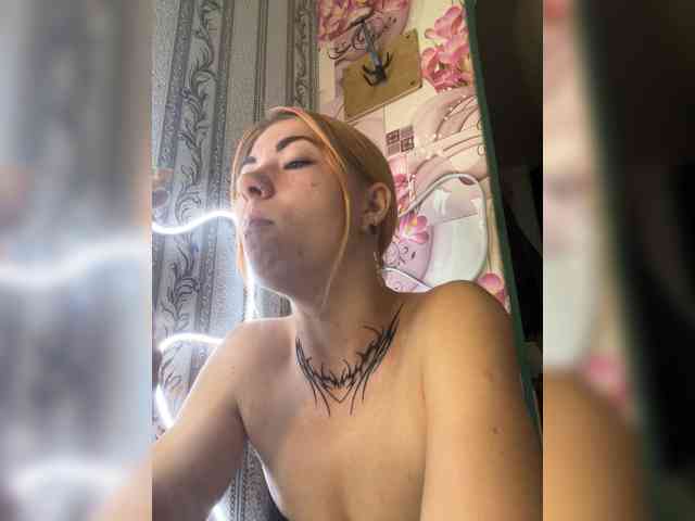 Chanterelle-Fox webcam