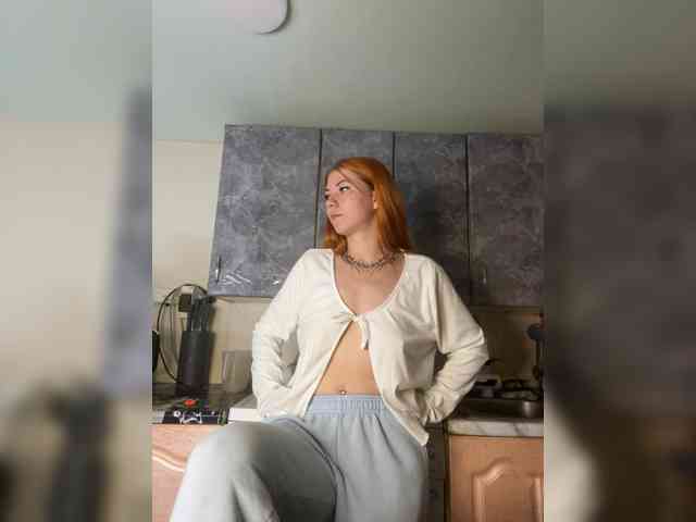 Chanterelle-Fox webcam