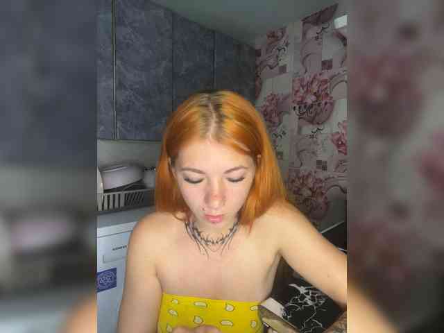 Chanterelle-Fox webcam