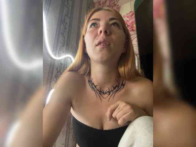 Chanterelle-Fox webcam