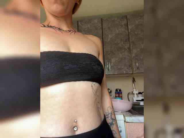 Chanterelle-Fox webcam