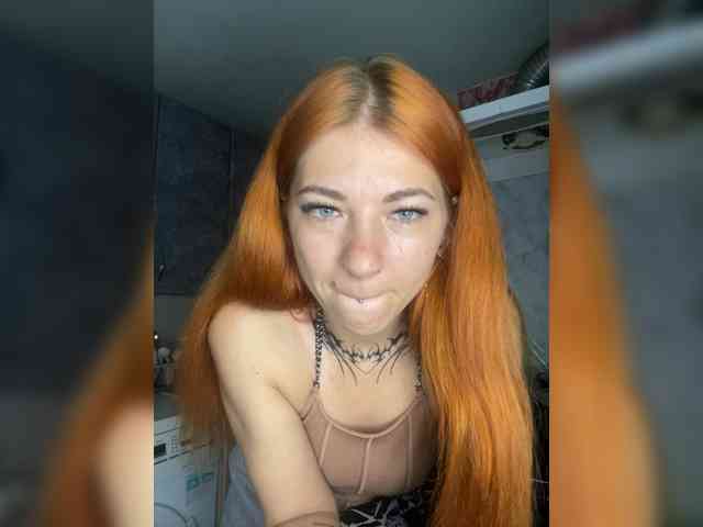 Chanterelle-Fox webcam