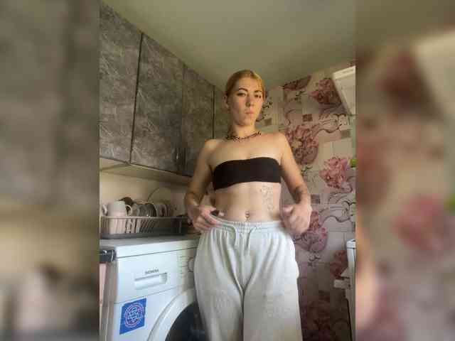 Chanterelle-Fox webcam