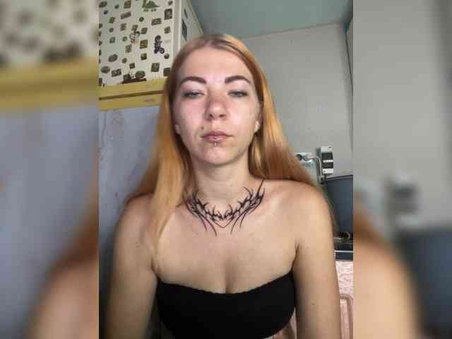 Chanterelle-Fox webcam