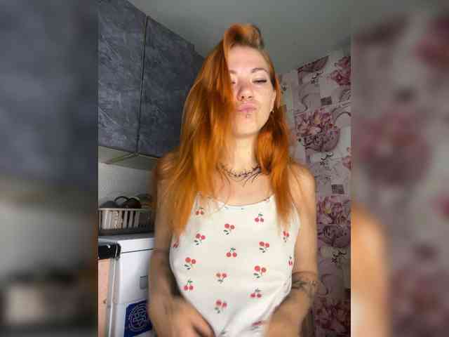 Chanterelle-Fox webcam