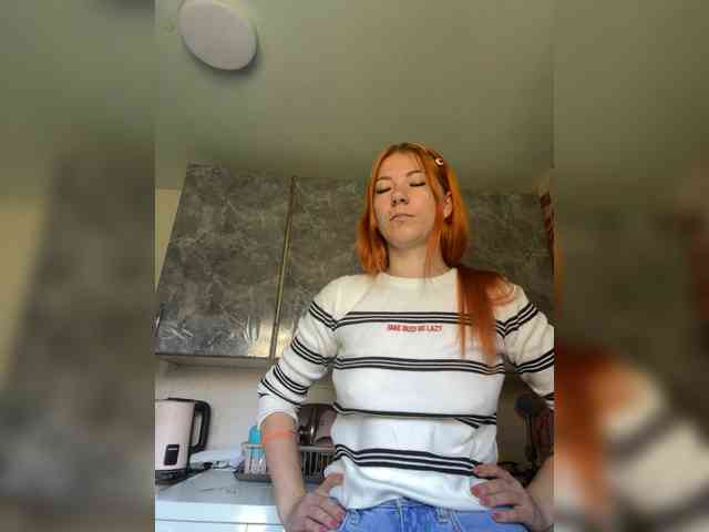 Chanterelle-Fox webcam