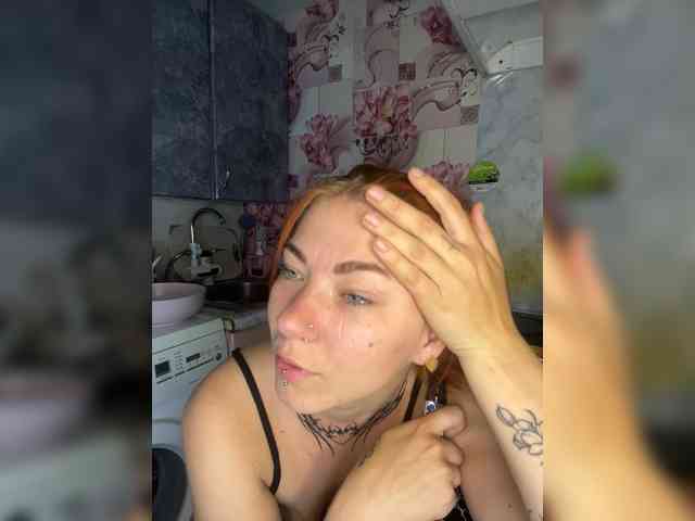 Chanterelle-Fox webcam