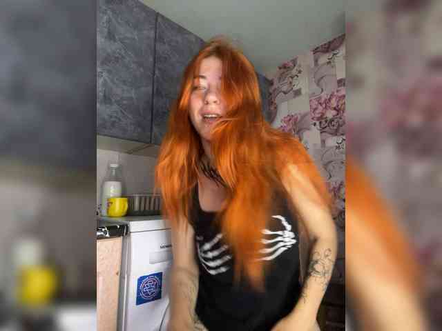 Chanterelle-Fox webcam