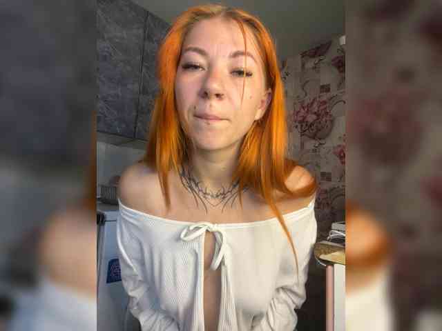 Chanterelle-Fox webcam