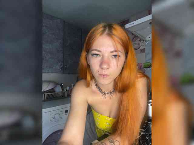 Chanterelle-Fox webcam