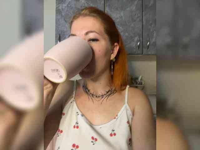 Chanterelle-Fox webcam