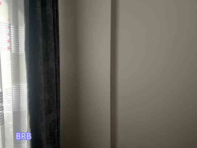 AlyshaJerome webcam