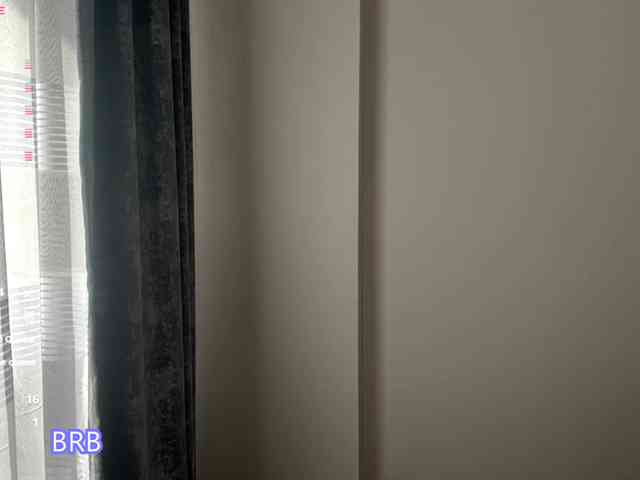 AlyshaJerome webcam