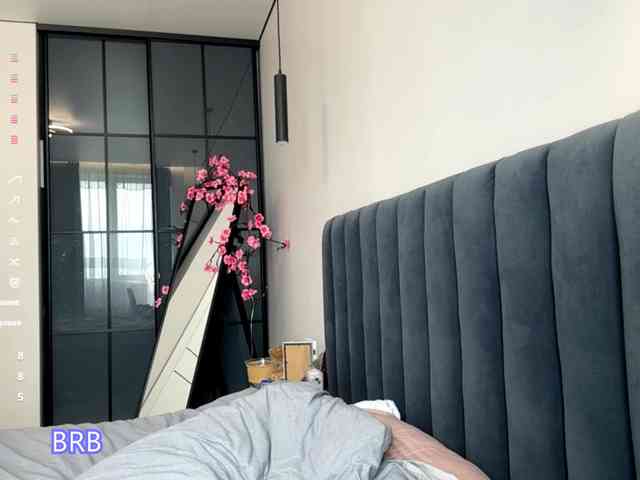 AlyshaJerome webcam