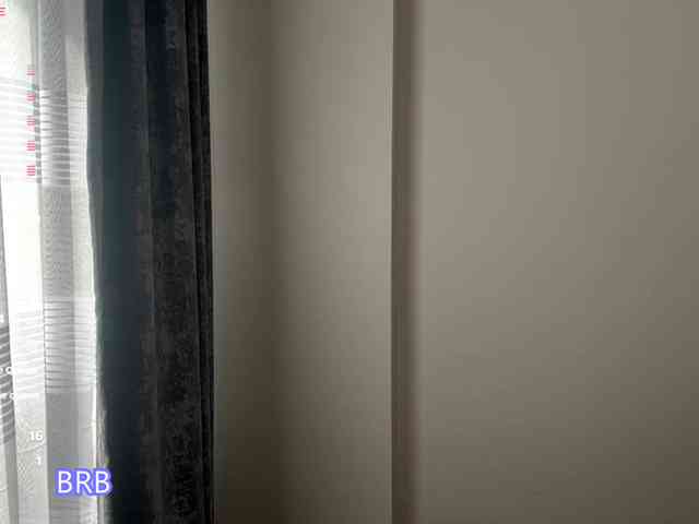 AlyshaJerome webcam